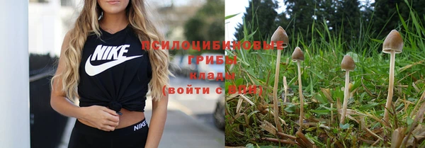 синтетический гашиш Алзамай