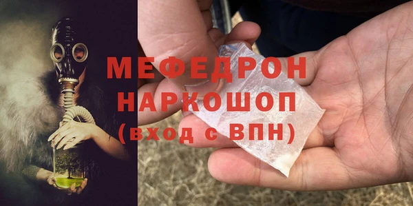 СК Снежногорск